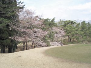 20090404