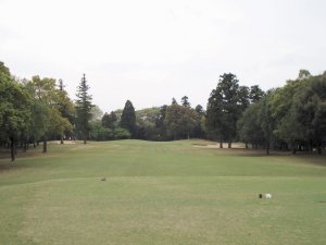 20090414
