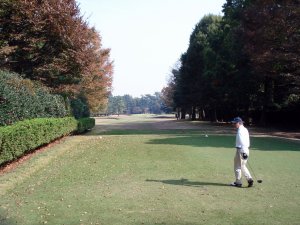 20091110