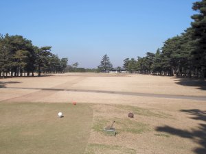 20091208