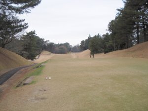 20091209