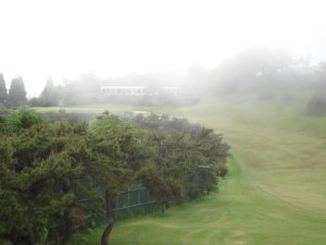 20080531
