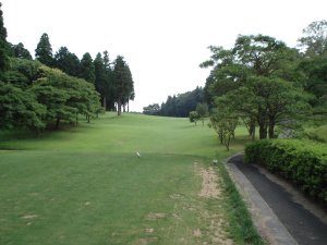 20080618