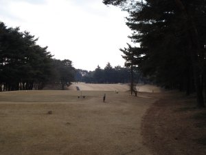 20090118