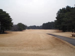 20090213