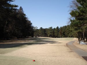 20090307