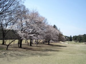 20090403