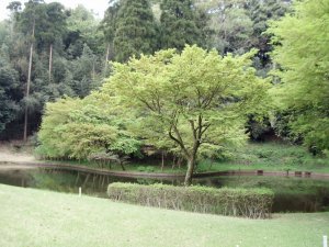 20090414