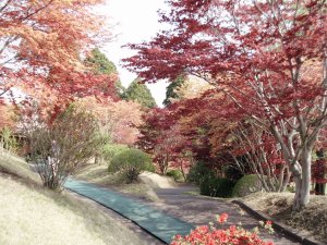 20090420