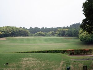 20090512