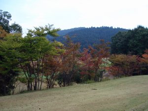 20091020