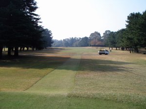 20091110