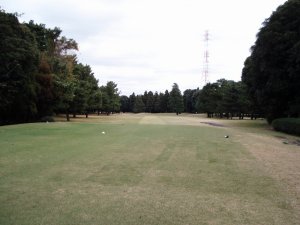 20091112