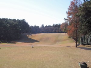 20091208