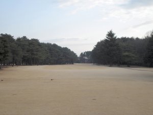 20090215