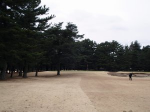 20090301