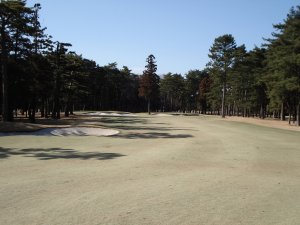 20090307