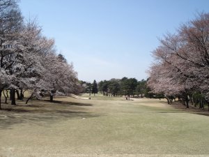 20090403