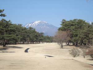 20090409