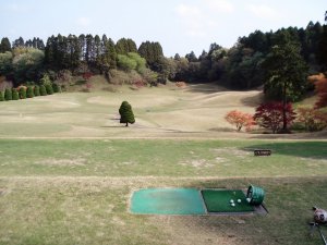20090420