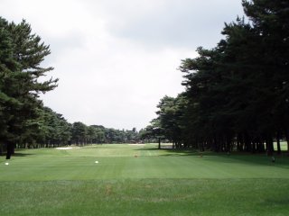 20090730