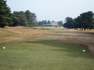 20091110
