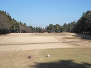 20091208
