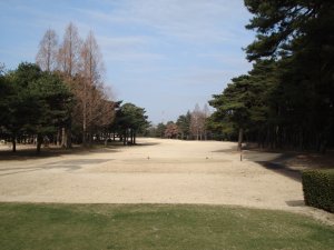 20090215