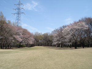 20090403