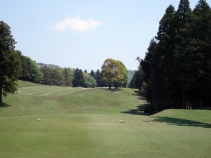 20090429