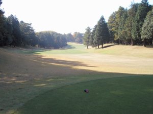 20091123