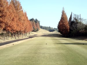20091128