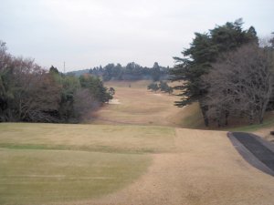 20091209