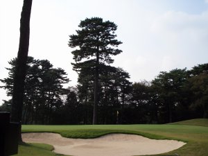 20081022