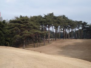 20090118