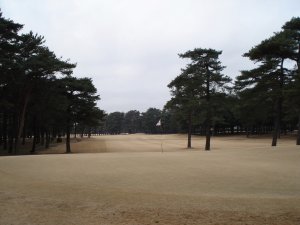 20090215