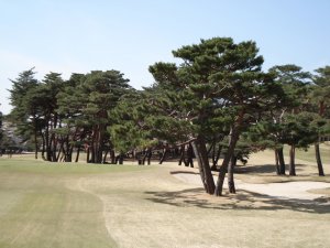 20090403
