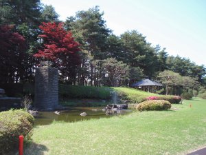 20090428