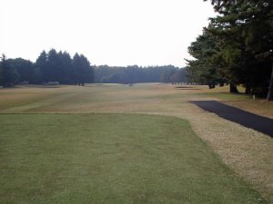 20091110