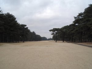 20090215