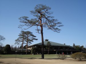 20090307