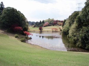 20090420