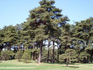 20090428