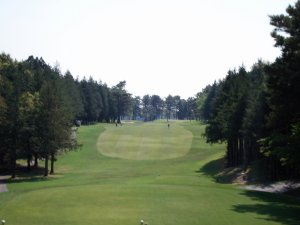 20090429