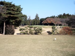 20091208