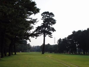 20081022