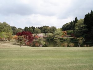 20090420