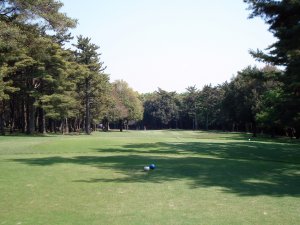 20090429