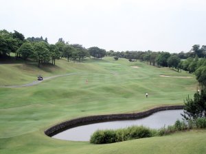 20090612