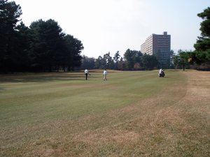 20091110